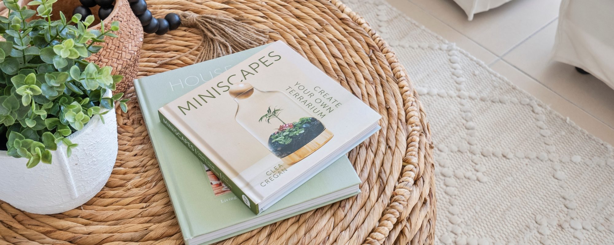 64d5e9c4-6a99-4ab2-b422-f5d8454203fc-Mermaid-Beach-2026-02-18-103926-4