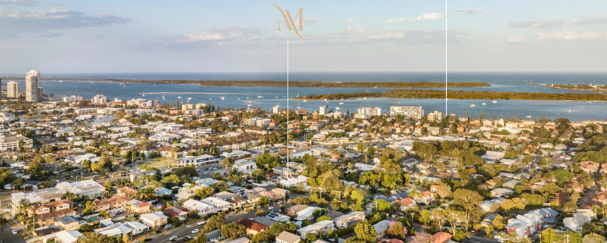 65371498-a349-4d09-86b1-f714ef0d1629-Labrador-2026-02-18-103805-4