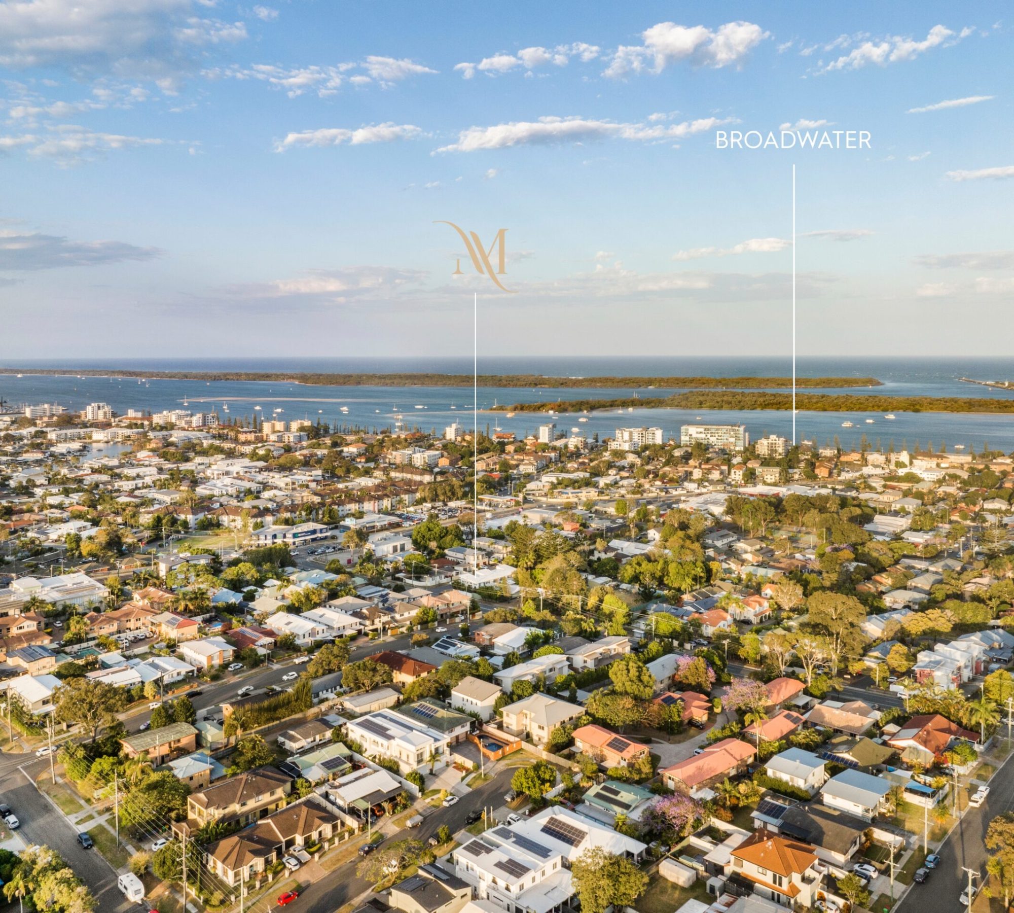 65371498-a349-4d09-86b1-f714ef0d1629-Labrador-2026-02-18-103805-4