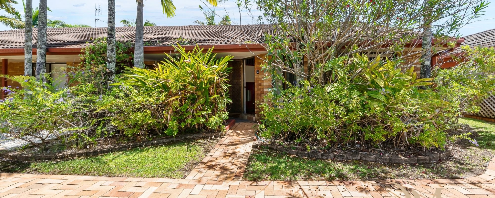 6545c8f6-22df-429d-8b86-ed74fade0c0b-Miami-2026-02-18-103726-4