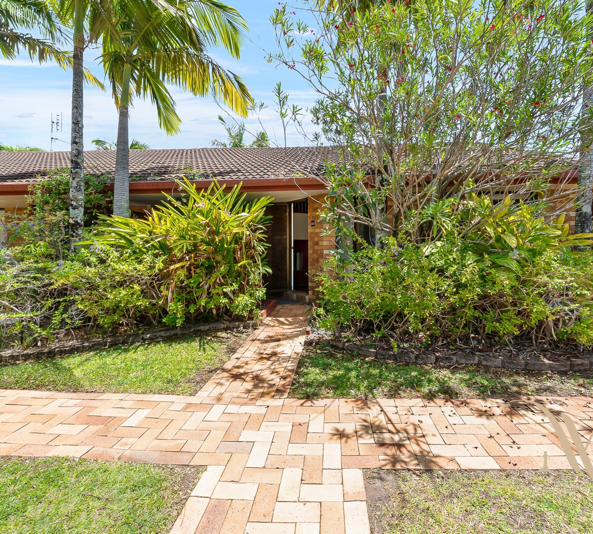 6545c8f6-22df-429d-8b86-ed74fade0c0b-Miami-2026-02-18-103726-4