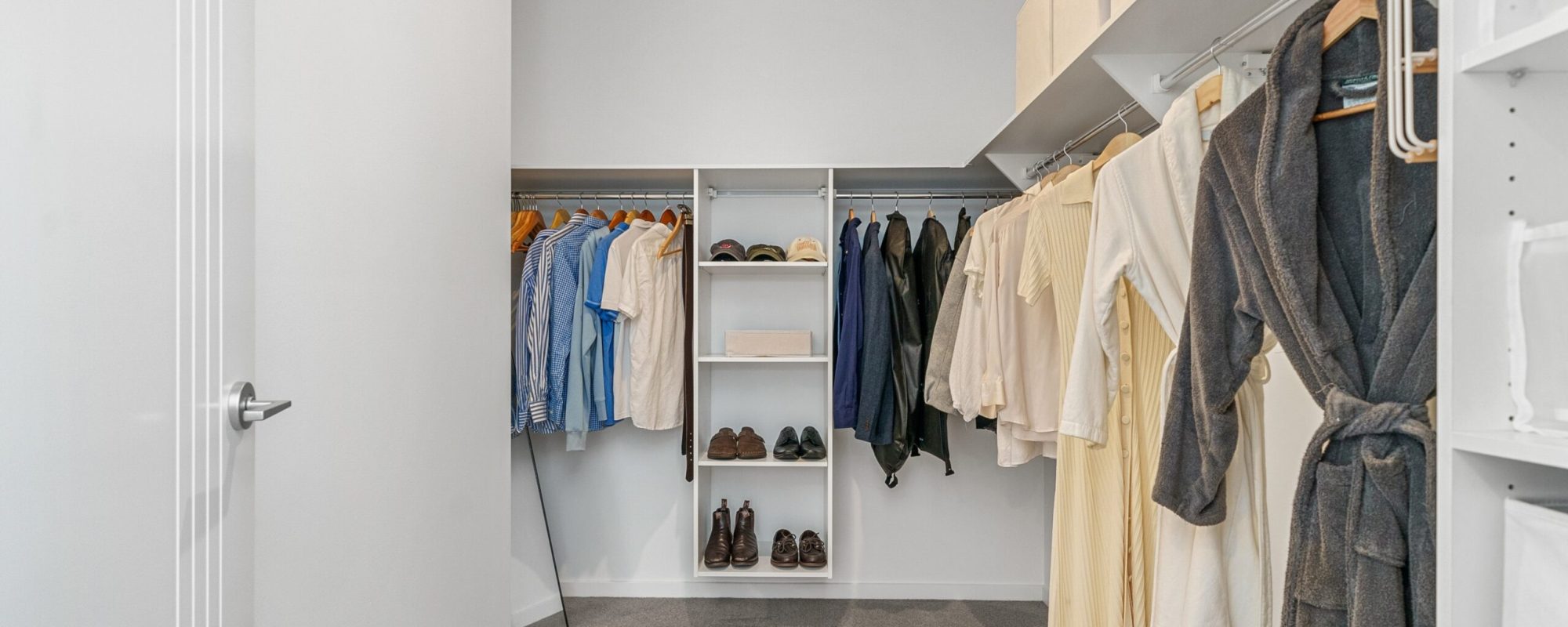 65df0aef-9c2d-4afe-8b60-a219d1efbe15-Labrador-2026-02-18-103413-7