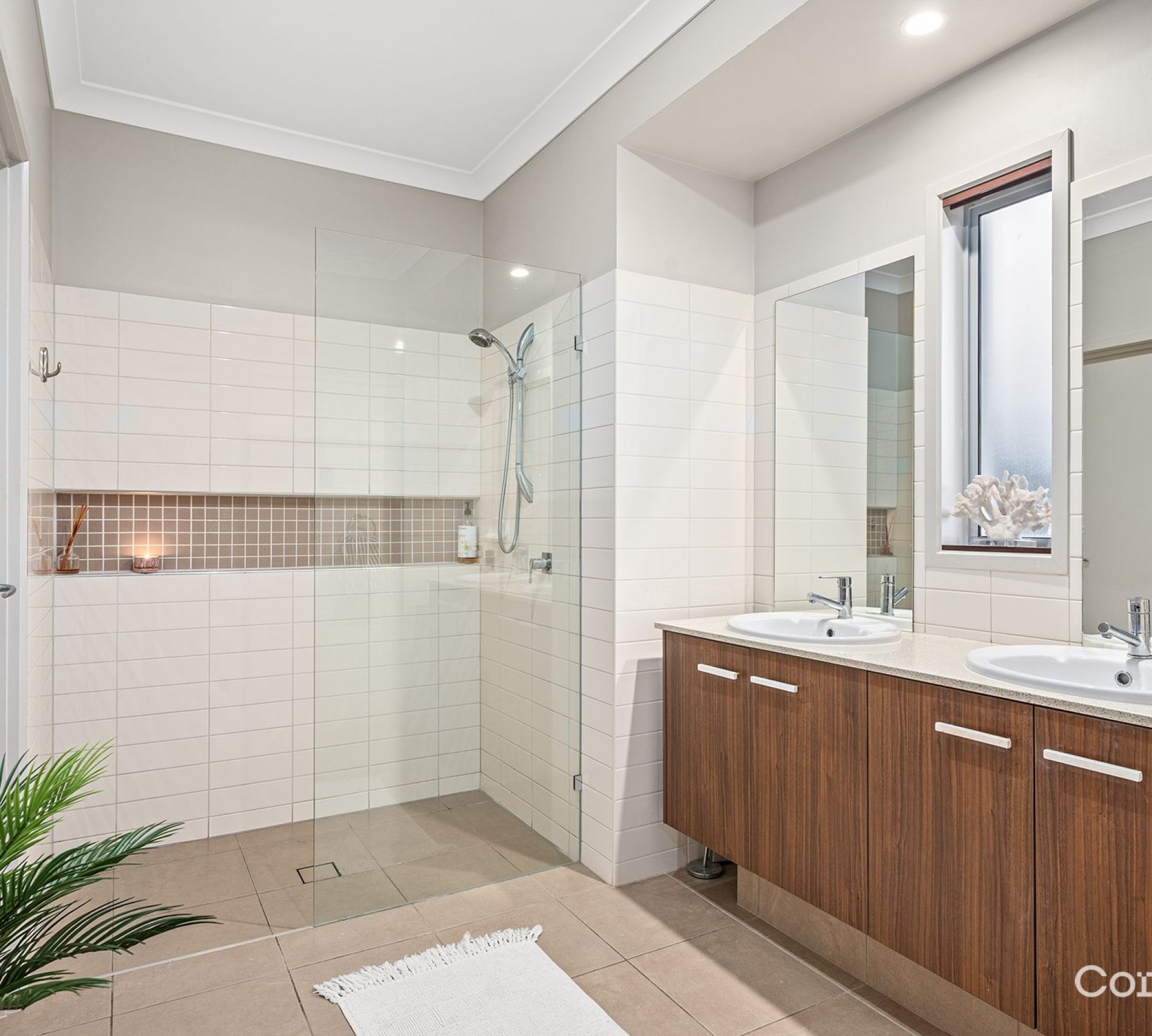 66df77fd-849b-4c13-a0e4-45a8d22f4e1a-Jacobs-Well-2026-02-18-103250-10