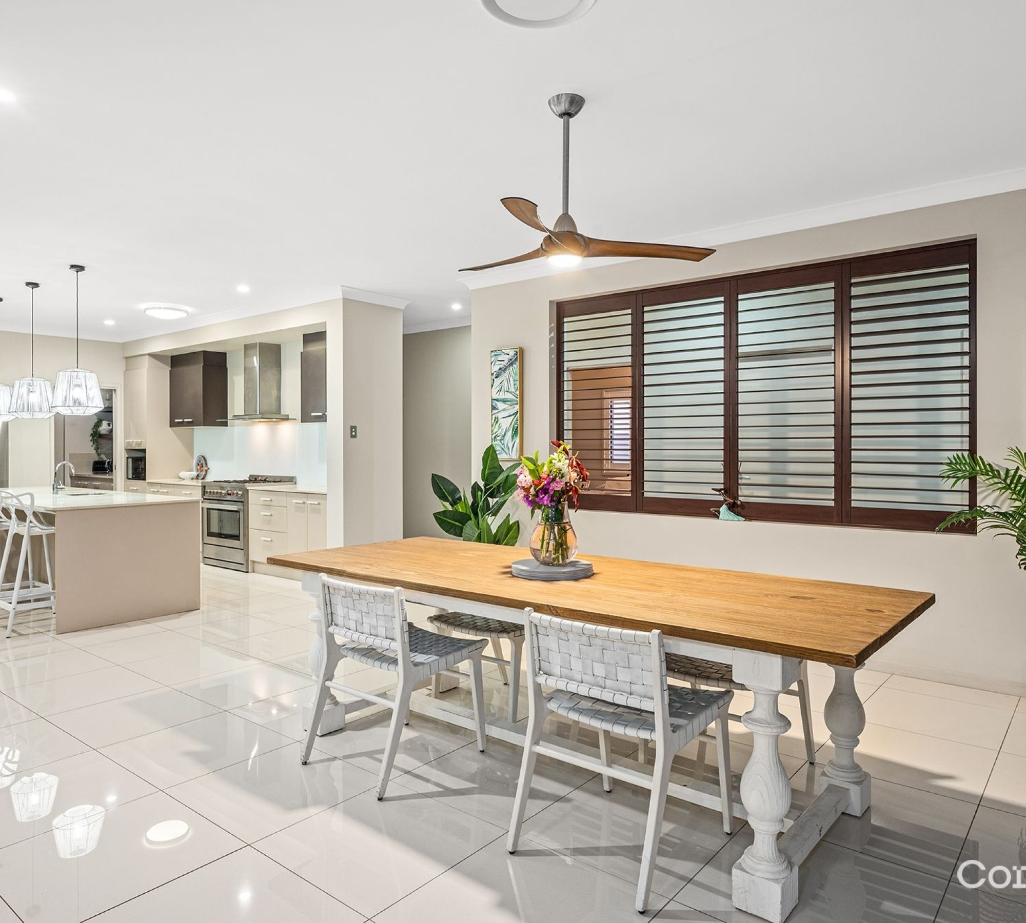 66df77fd-849b-4c13-a0e4-45a8d22f4e1a-Jacobs-Well-2026-02-18-103250-5