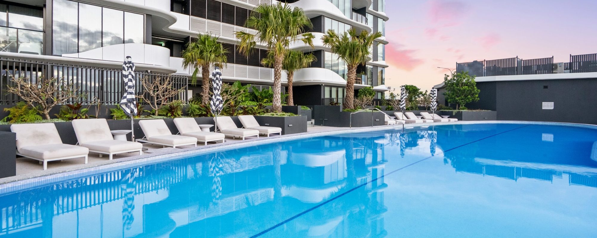 68af9237-4611-4963-b95e-bfd058b291d7-Labrador-2026-02-05-083254-7