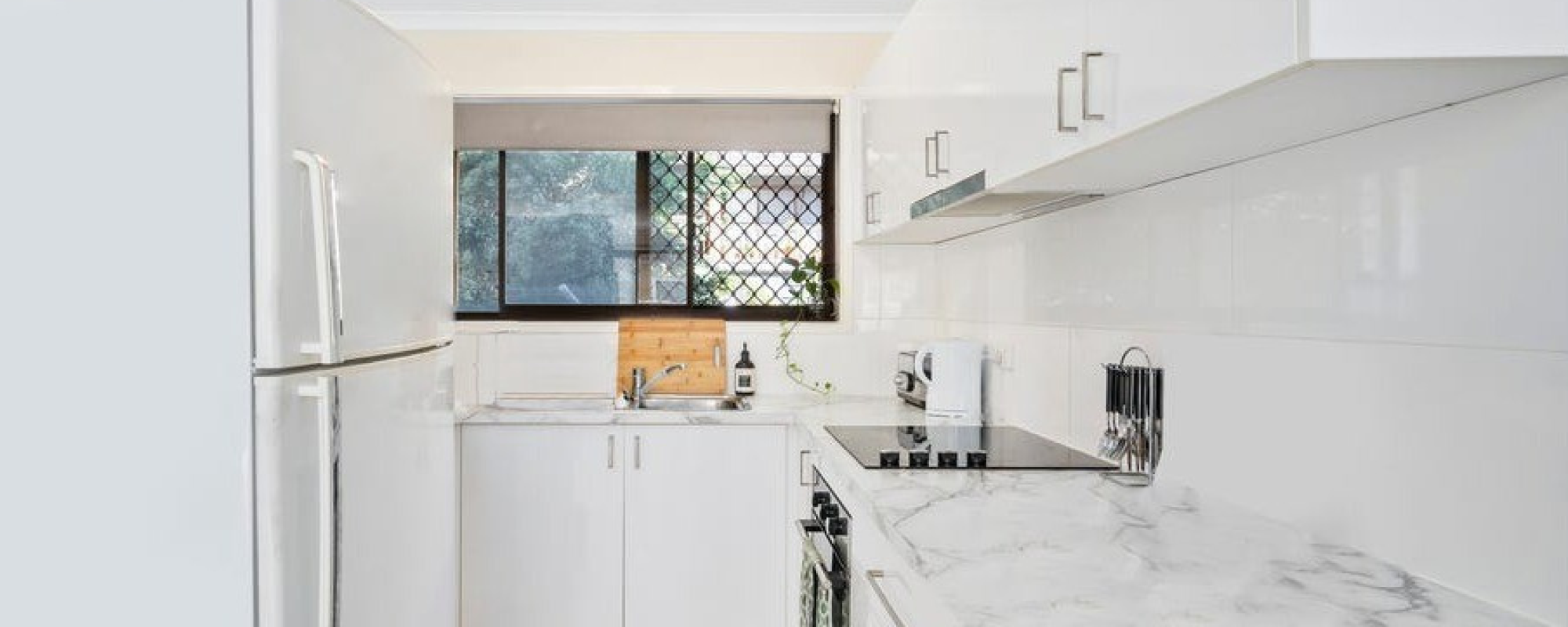 695c5c98-1bf6-4727-ba8a-8c6bc8cb7027-Labrador-2026-02-13-152315-2